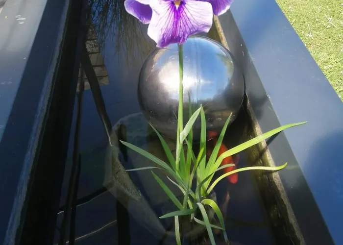 On Dirait Le Sud Chievres